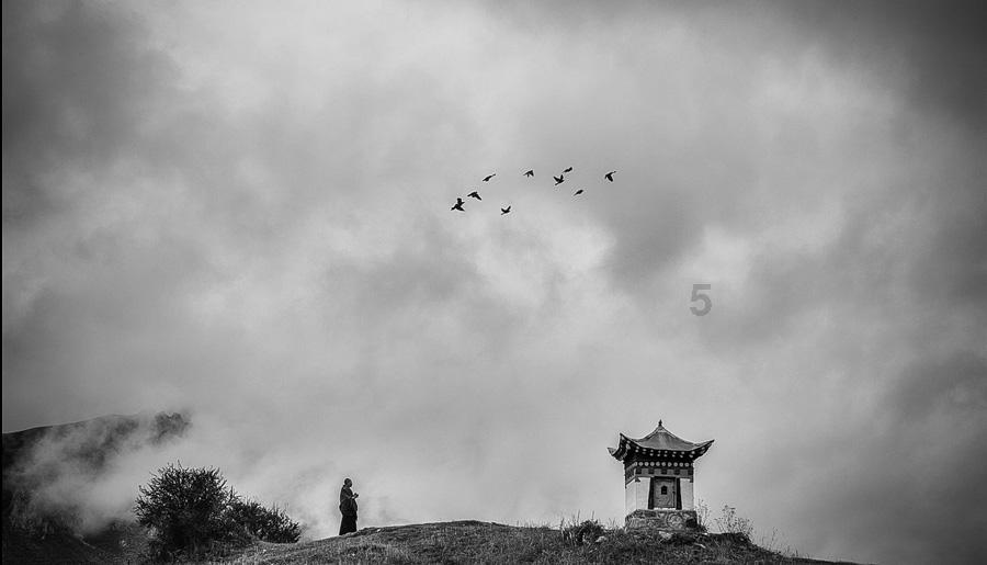 TVB剧《好心作怪》:换心引发命运大转折!苗侨伟万绮雯化身反派夫妇!