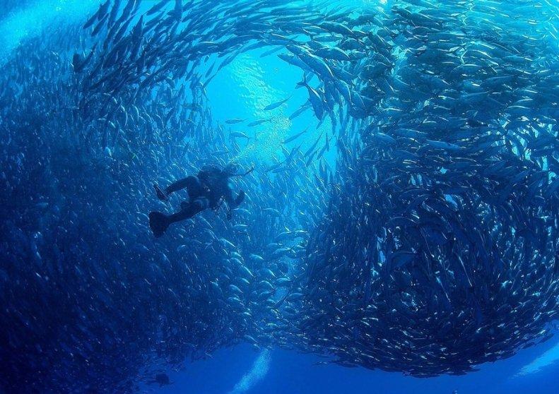 自动梯形校正+待机智能唤醒 雷神贝果Civi投影仪上架